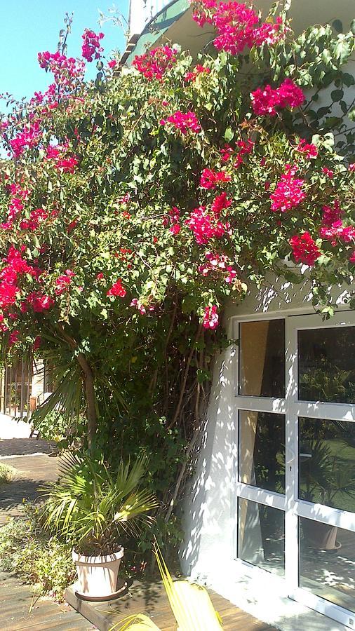 Cape Oasis Guesthouse Bloubergstrand Ngoại thất bức ảnh