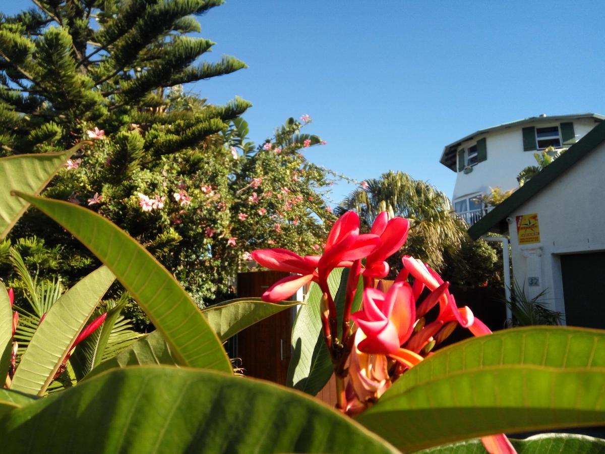 Cape Oasis Guesthouse Bloubergstrand Ngoại thất bức ảnh